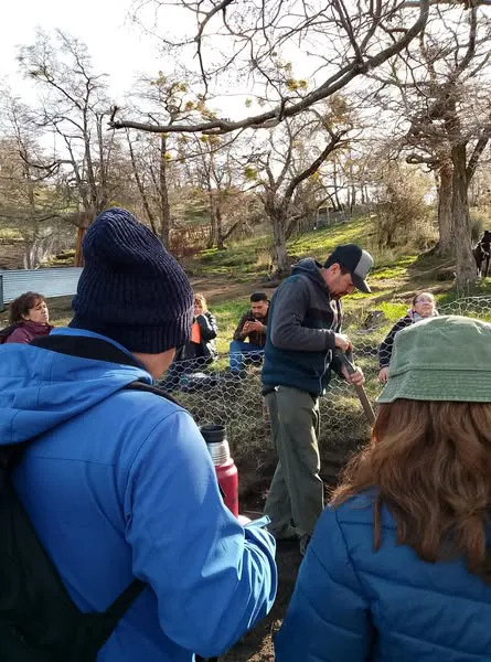 557204022_1233297462173584_4280552013988834852_n