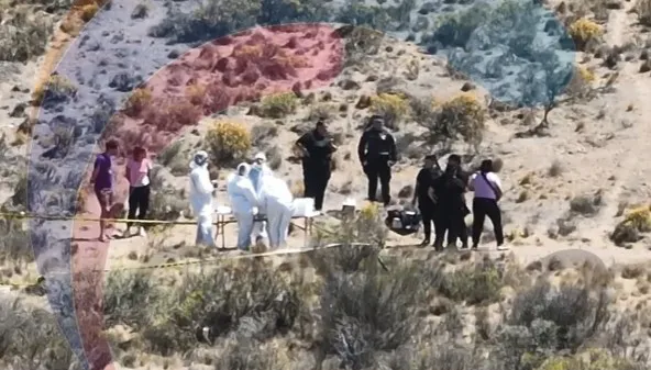 619263303_1695725304777890_6232129418598792791_n