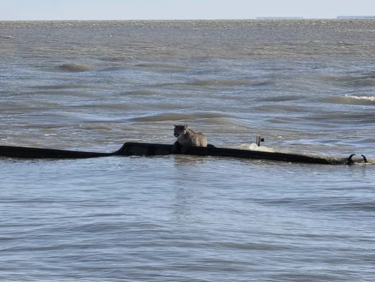 Captura de pantalla 2026-04-03 152842