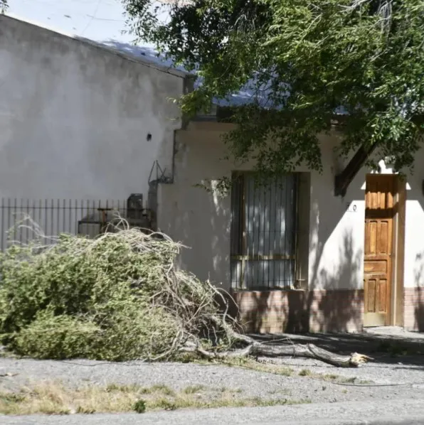 Captura de pantalla 2025-11-18 130003