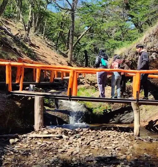 Captura de pantalla 2025-12-01 120909