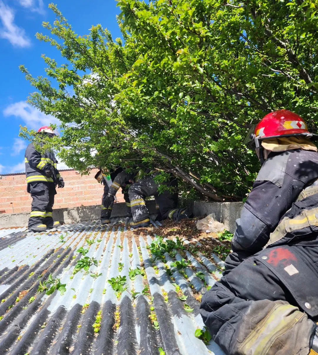 585314816_1385006172984549_6268757754290240269_n