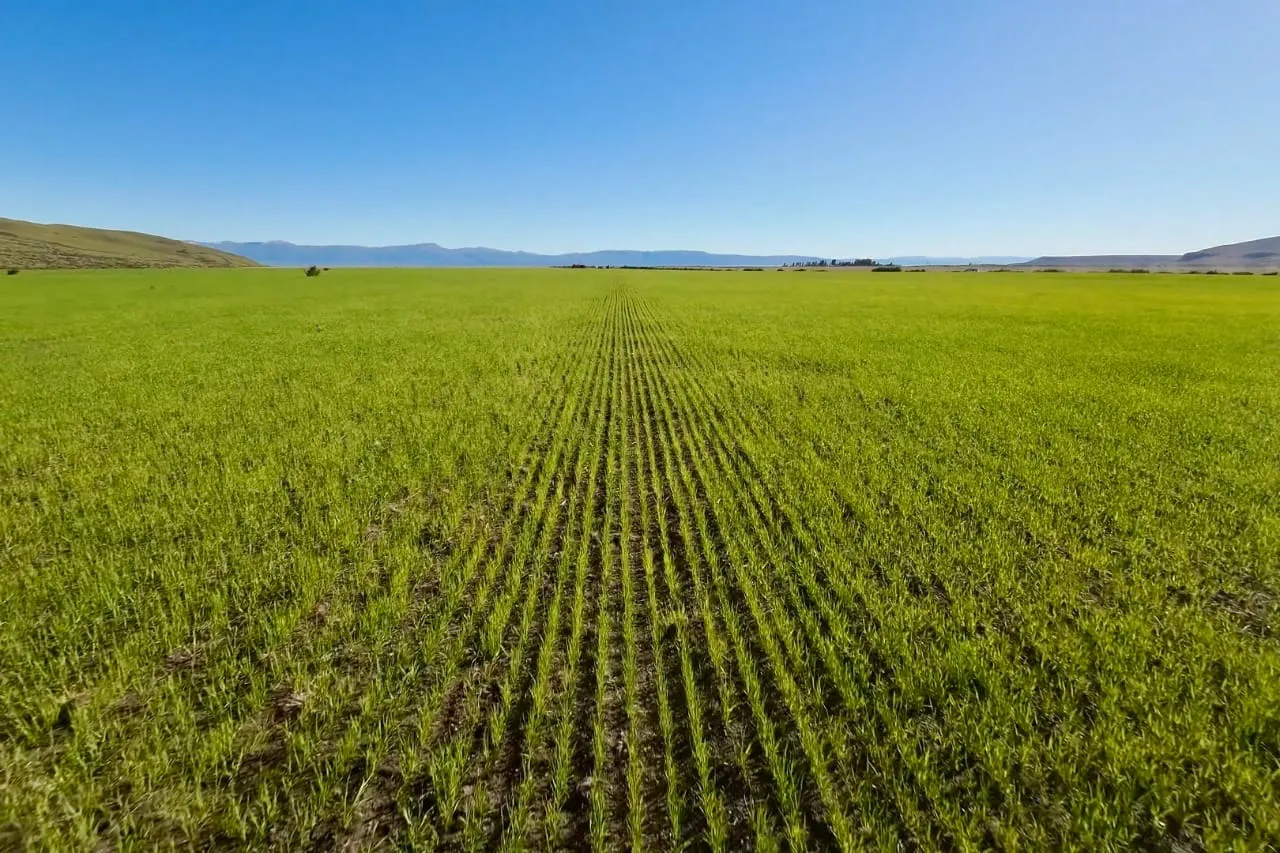 WhatsApp_Image_2026-01-16_at_11.55.05_AM