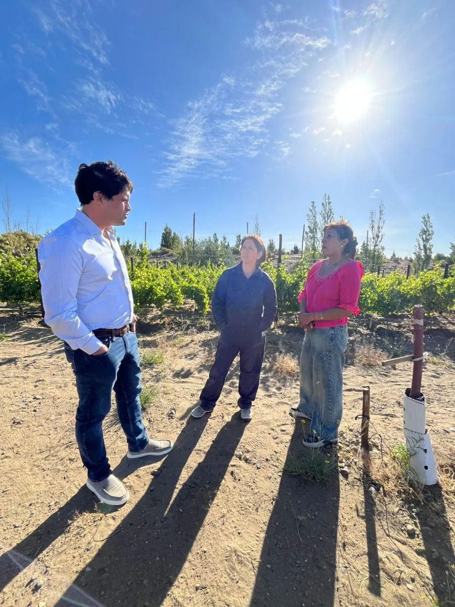 741f82d90fed6f3b70c8072210359279_XL