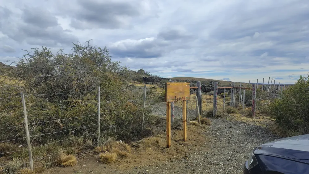 WhatsApp_Image_2026-02-20_at_16.07.00