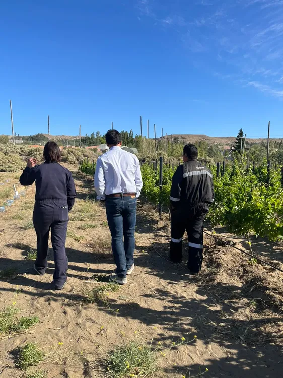 WhatsApp_Image_2026-01-06_at_20.00.10