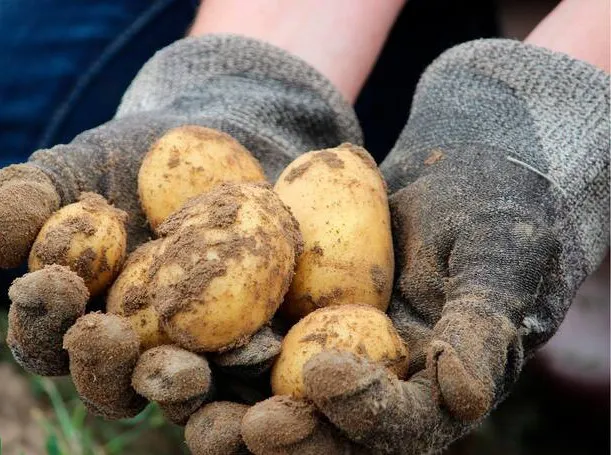 LB3ZCPHHN5GXTKBKKCM3E4Z6IY