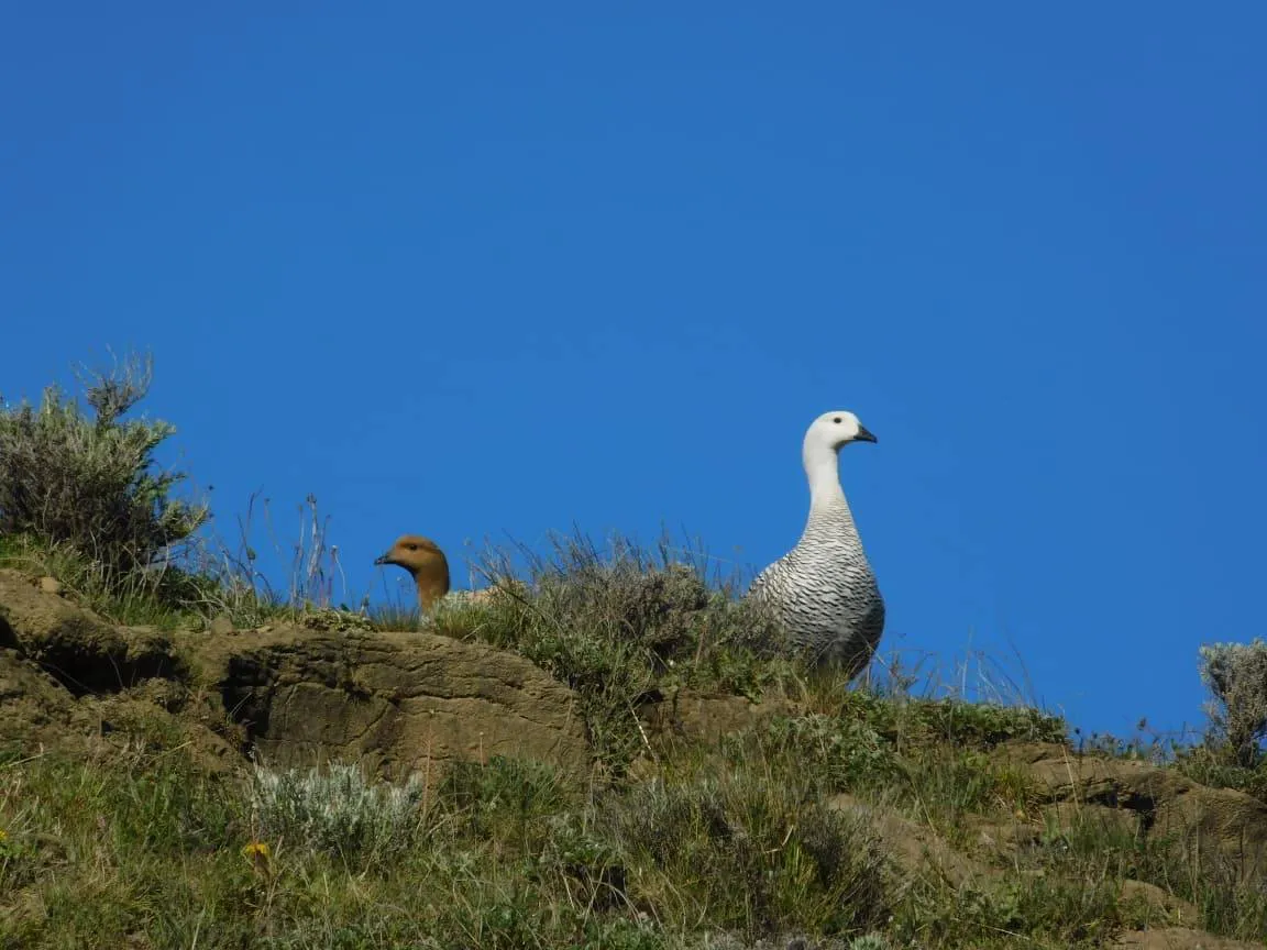 576873653_1899107234373394_6271932965846643812_n