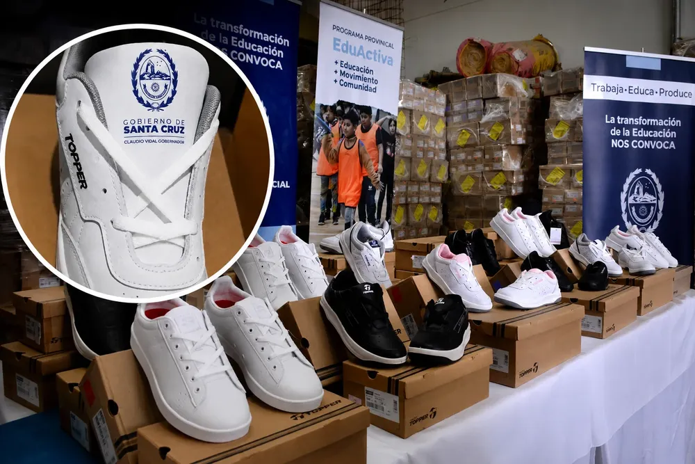 zapatillas