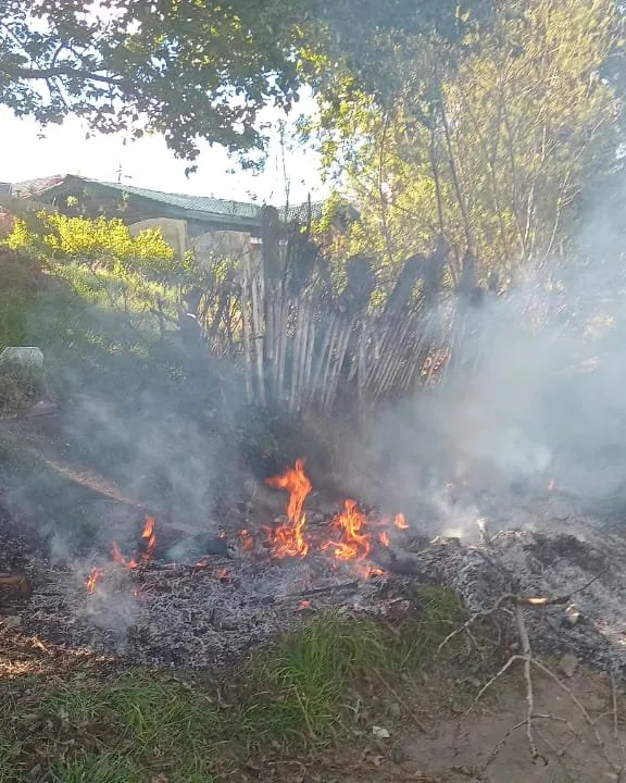 577024976_1263024405860260_7910647507317494293_n