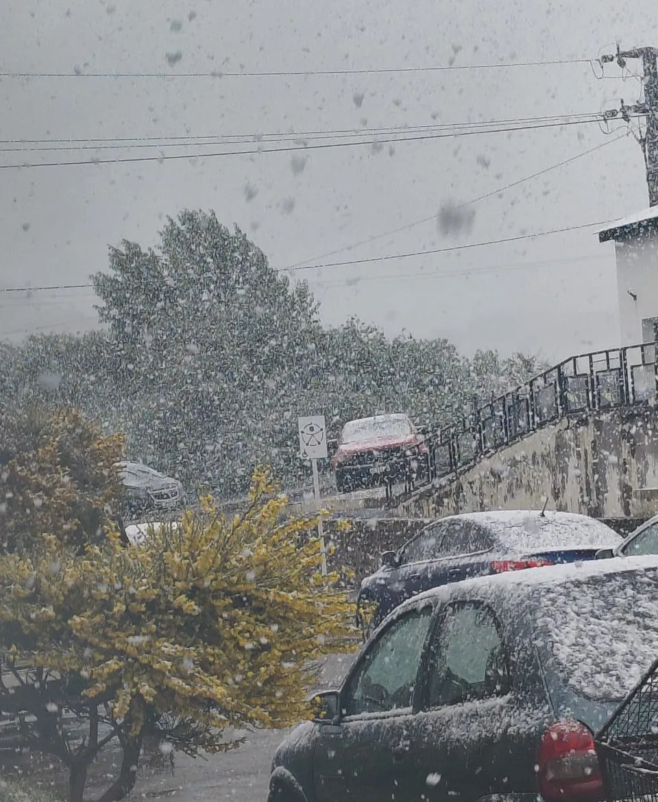 WhatsApp Image 2025-12-12 at 09.04.45