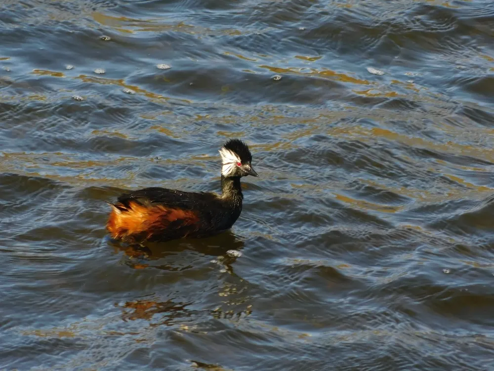 574847269_1899108237706627_1795420231985694089_n