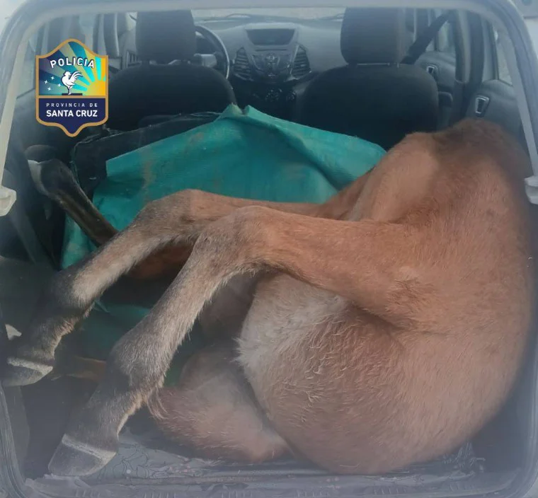 Captura de pantalla 2026-03-30 151024