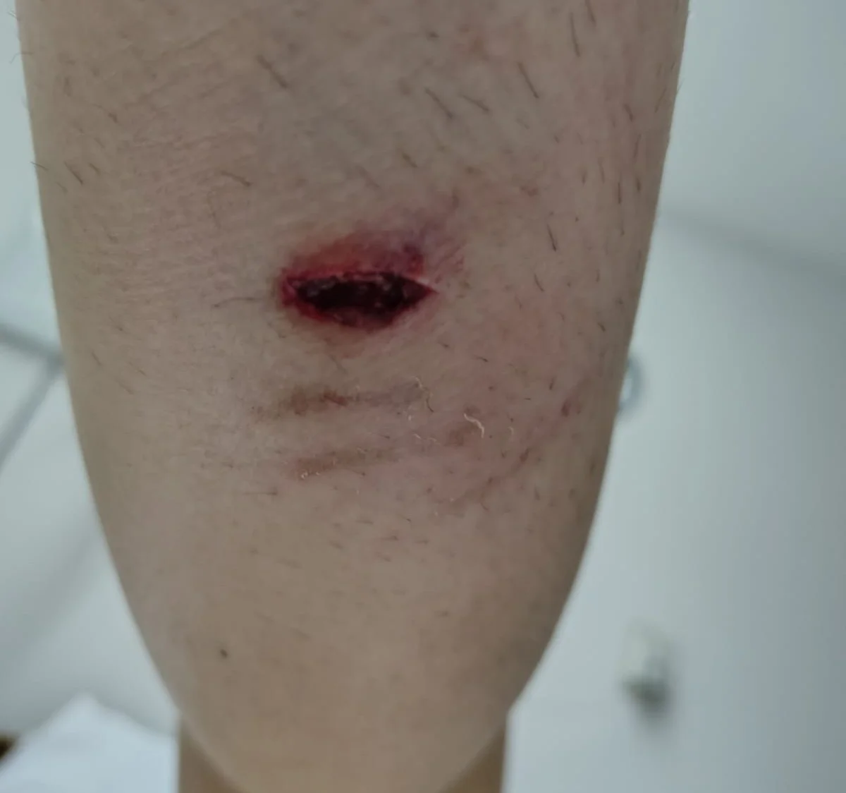 WhatsApp Image 2026-03-15 at 17.27.59