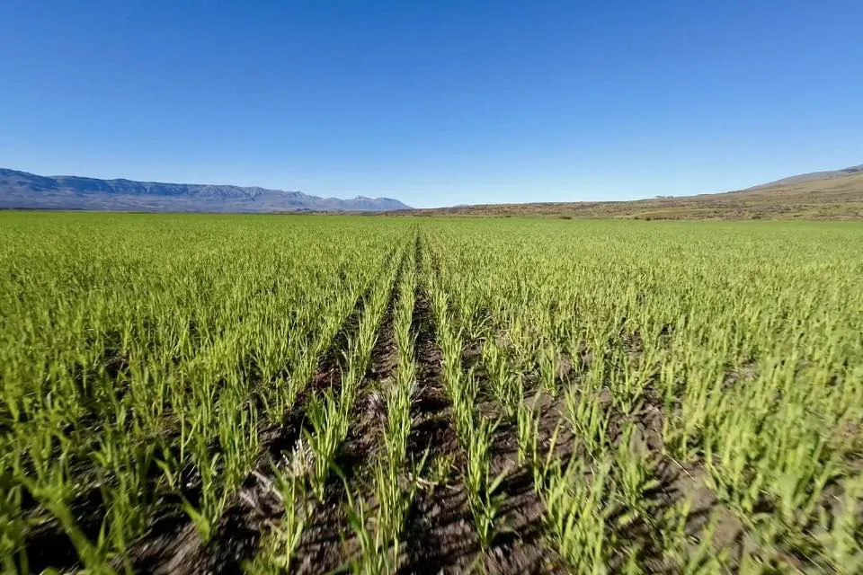 592676990_1393890738762759_9162012755588696192_n