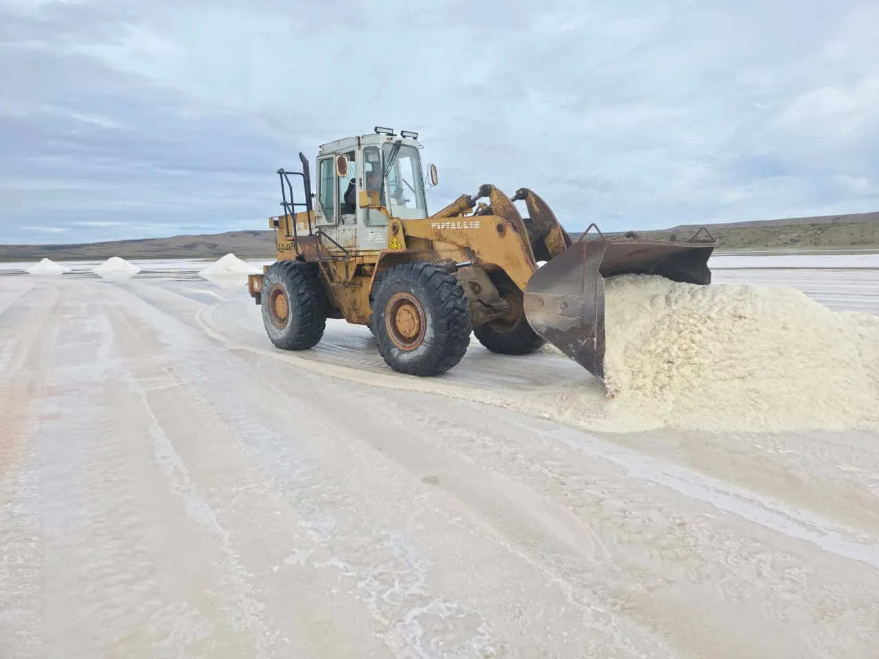 WhatsApp_Image_2026-01-23_at_2.28.27_PM