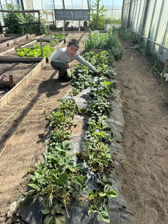 594066554_122160875426832834_8727871503208464966_n