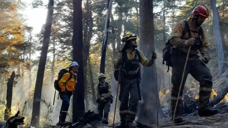 Captura de pantalla 2025-11-20 105832