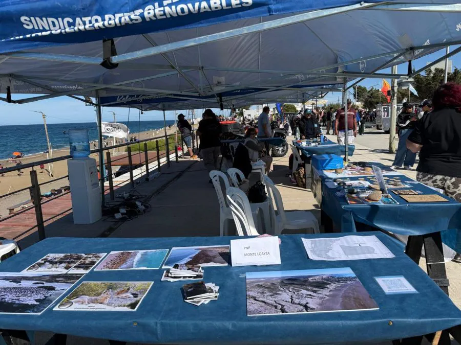 2f21ea62c0388083f00b2b6776a49a02_XL