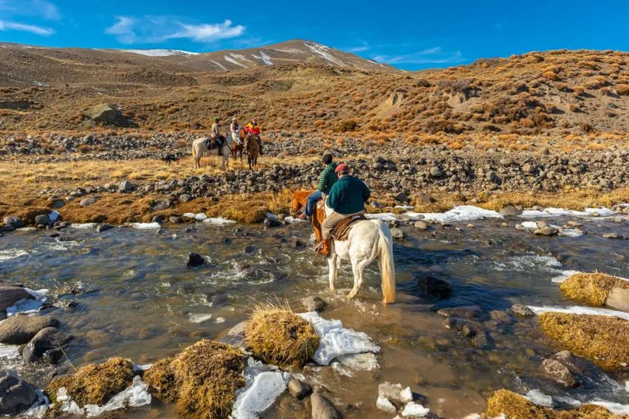 117e8e8f96f6d0f998dcc24e8b5785a7_XL