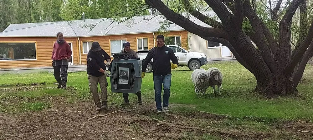 581958002_1269230538567908_7150261086419413975_n