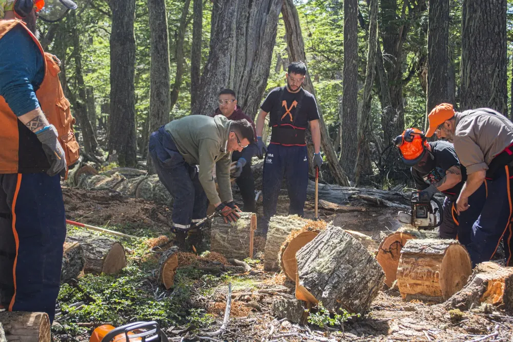 MDSII_LEA_PLAN_INVERNAL_34