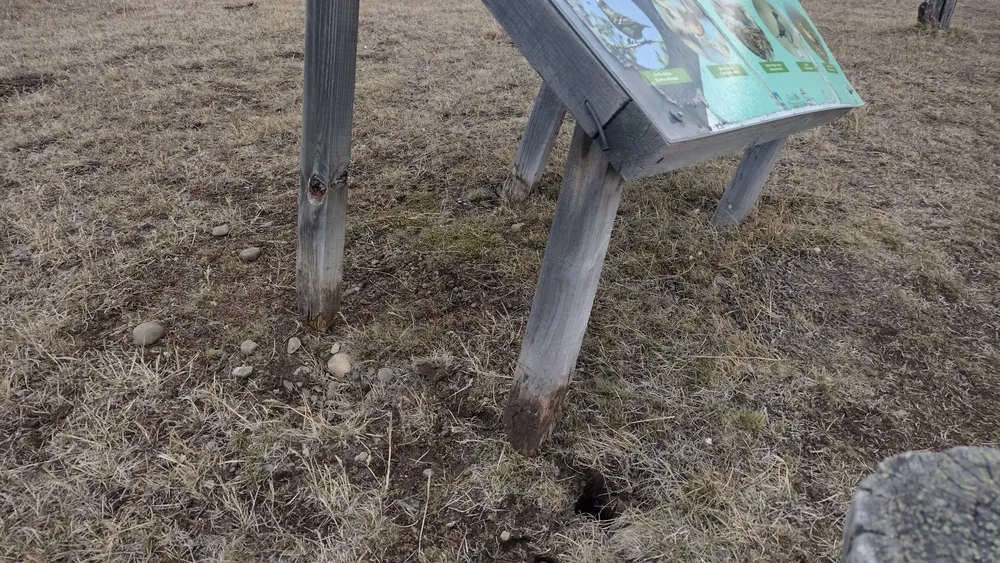 548222727_1851695369114581_592715821542549524_n