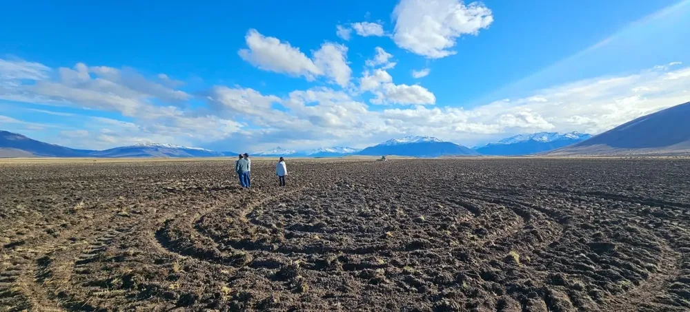 WhatsApp_Image_2025-09-10_at_20.58.46_1