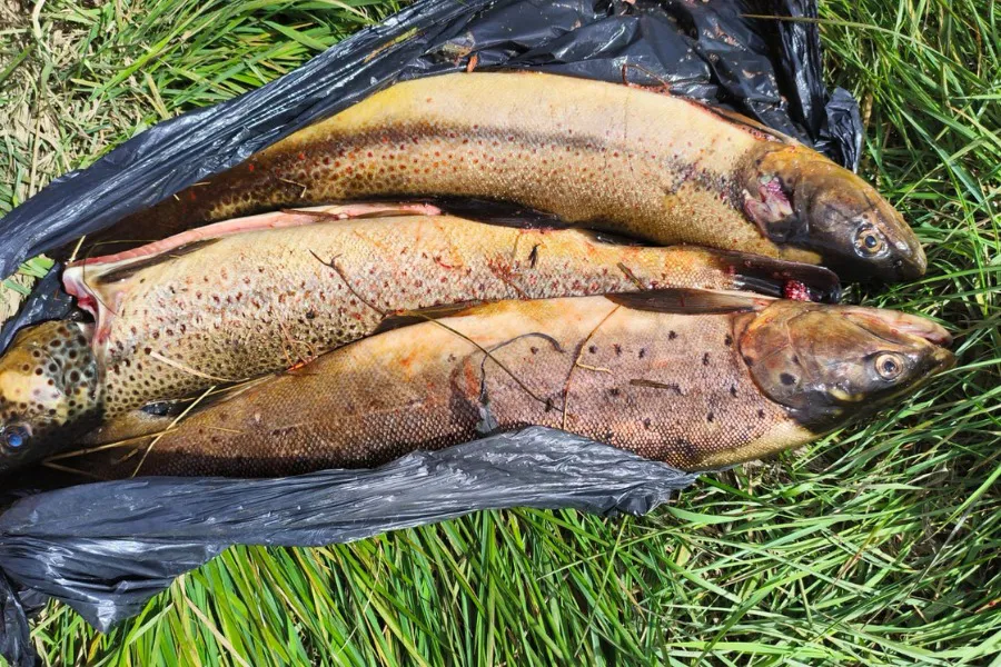 WhatsApp_Image_2025-12-10_at_4.08.20_PM_1