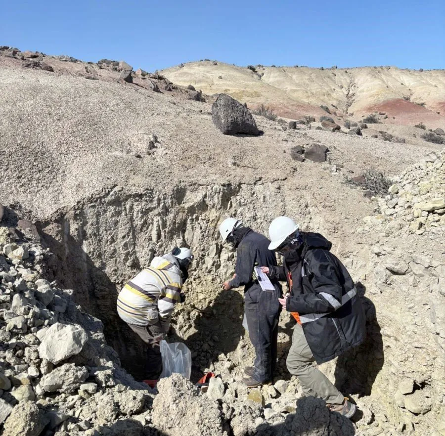 e087ab6cd02868458295f4a503987e25_XL