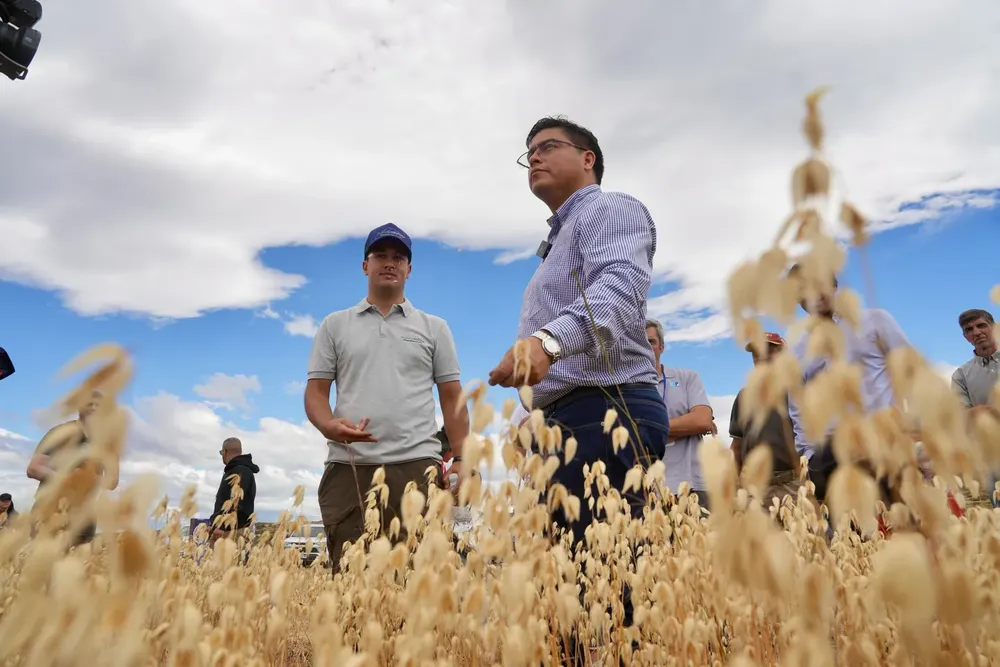 623868153_18306209338281632_4874005537961982447_n