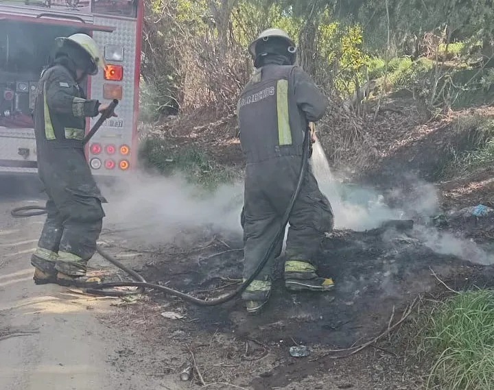 574341210_1263024429193591_2459392149817493133_n