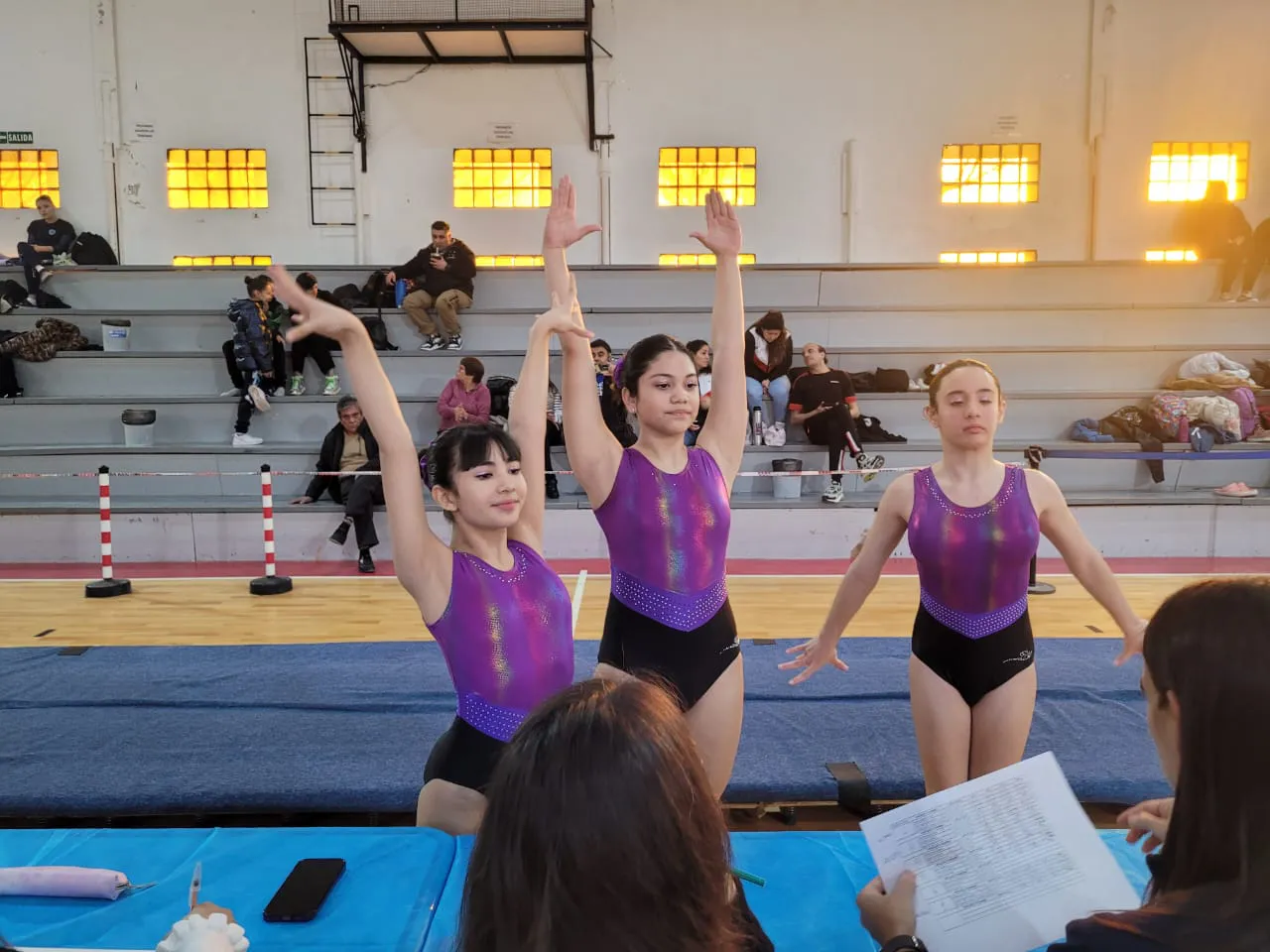Escuela-Municipal-de-Gimnasia-Artistica-3