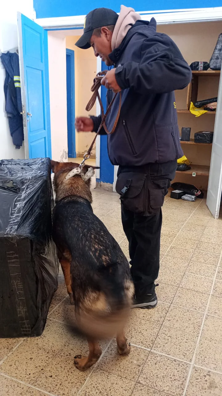 WhatsApp Image 2026-03-28 at 21.13.05