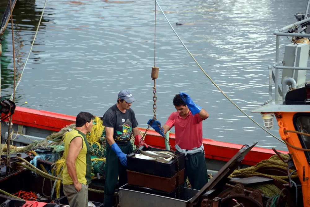 3_pesca_af_puertomdq38