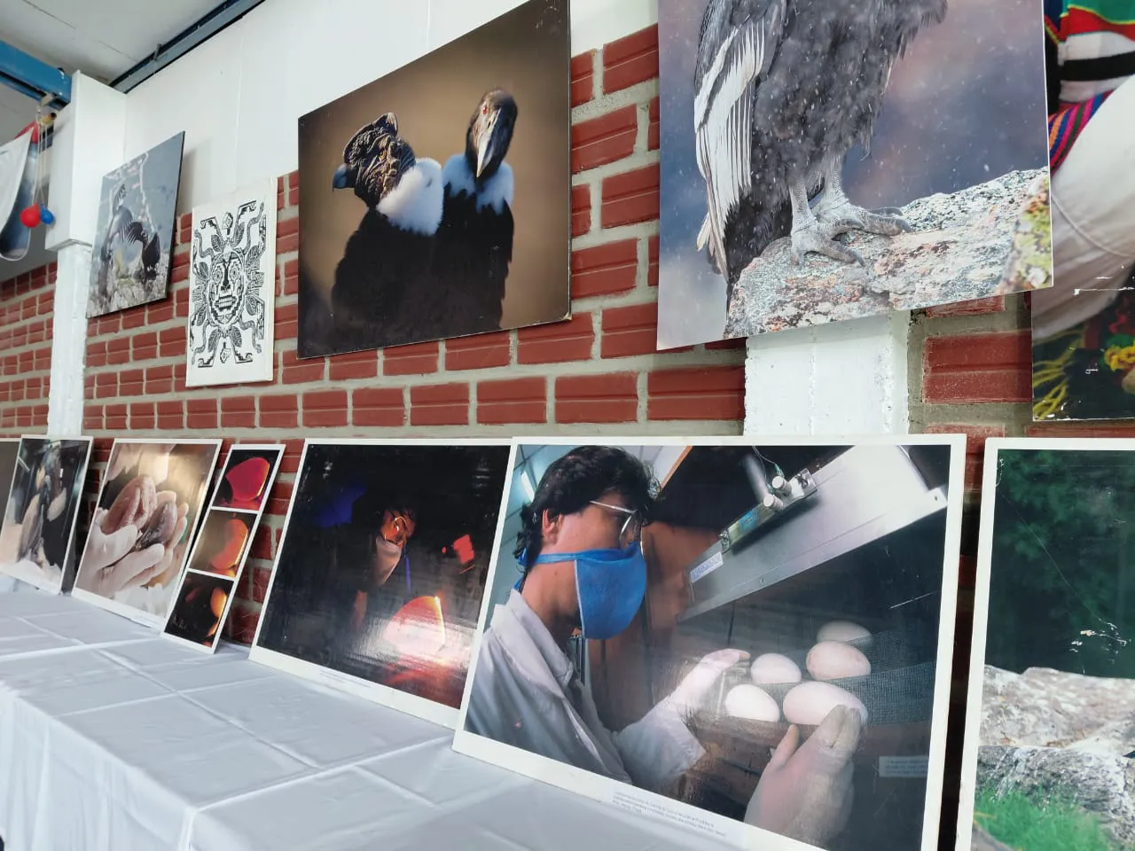 Imagen de WhatsApp 2025-11-12 a las 17.59.35_c01c86d2