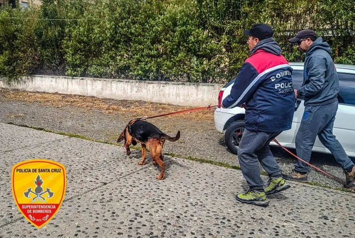 Captura de pantalla 2026-01-16 120742