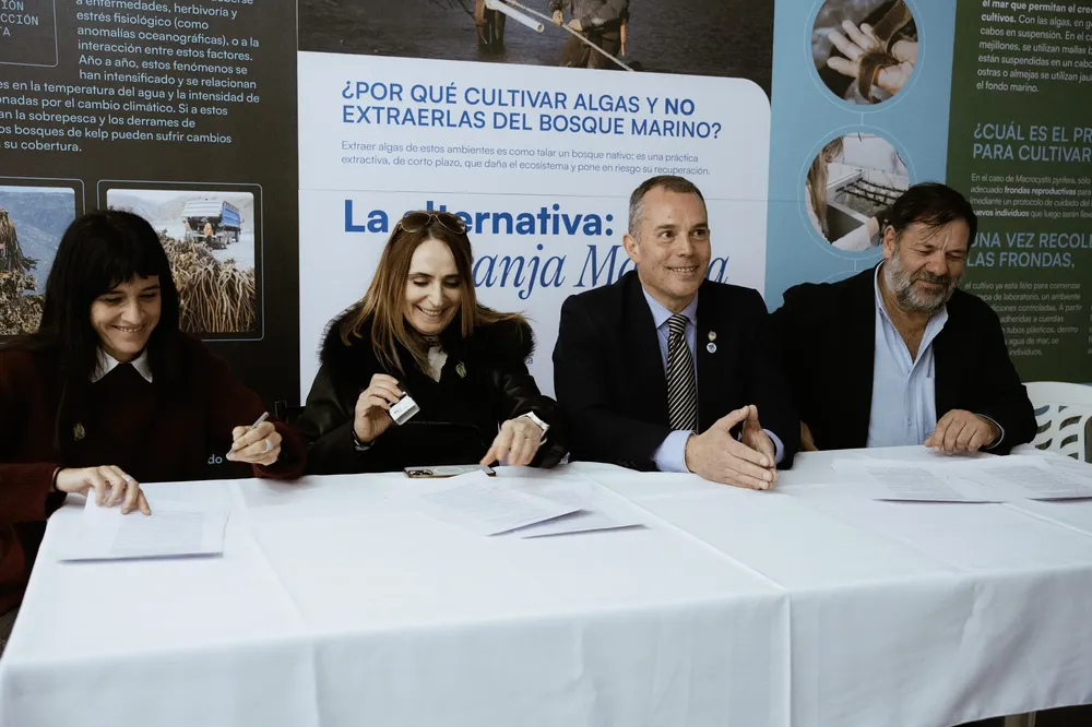 CAP_y_PEM_Convenio_3