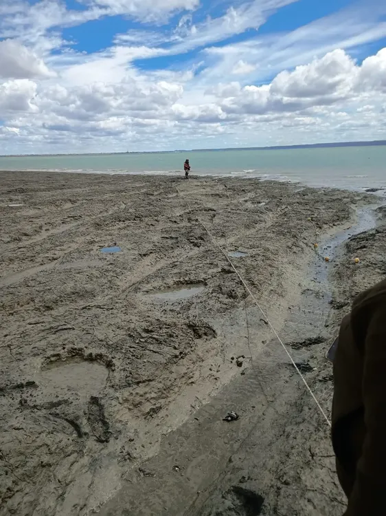 WhatsApp_Image_2026-01-14_at_2.51.48_PM