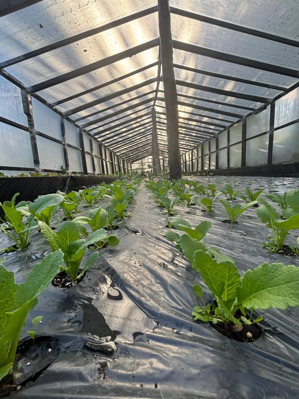 579712775_1270590448444285_2787219008535426249_n