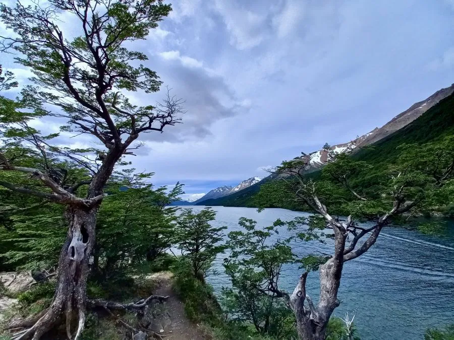 4c5b7f98790b8e78bf499b28a9f54958_XL