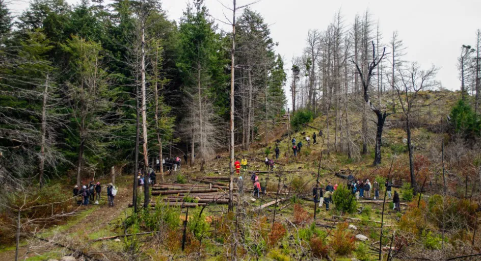 Captura de pantalla 2025-11-11 104615