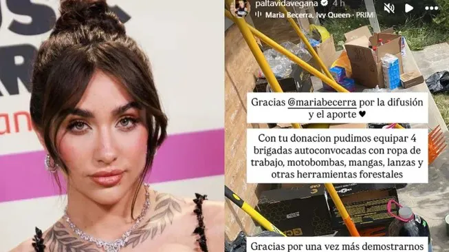 Captura de pantalla 2026-01-14 111205