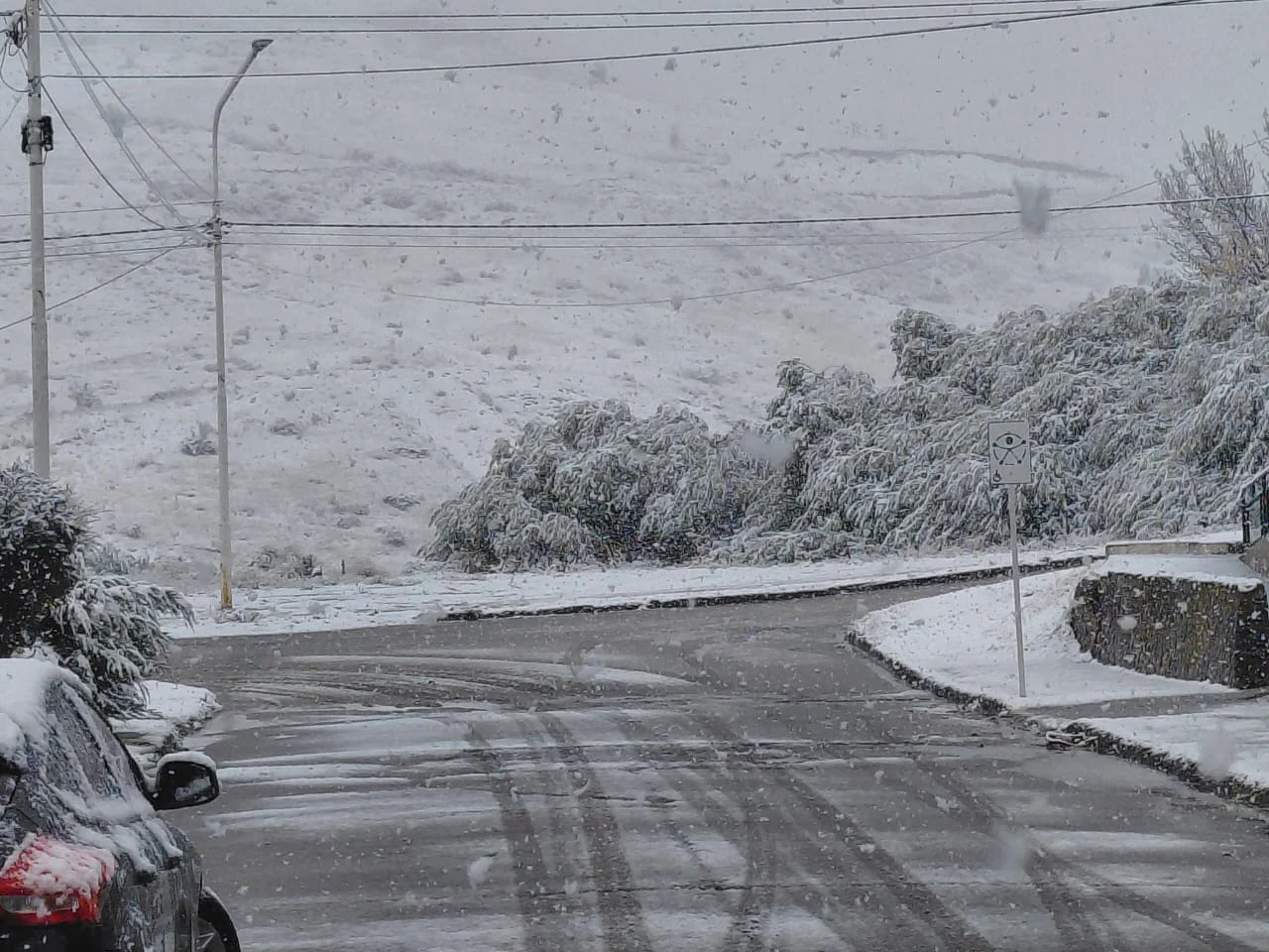 d11b8db3-9ffa-4c9d-9693-fc79ac712387