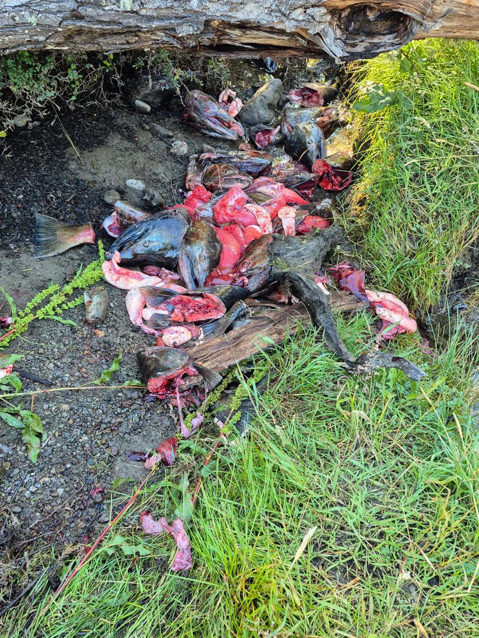 650302766_939368031802975_7681313609972684865_n