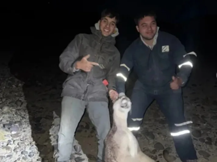 Captura de pantalla 2026-01-23 142759