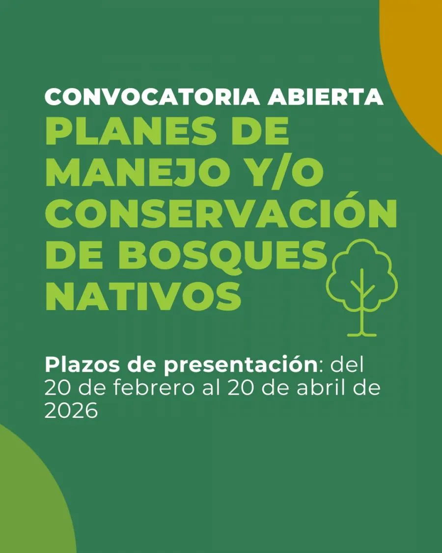 2698db4d5e723e1924d2c8d48b6a6987_XL