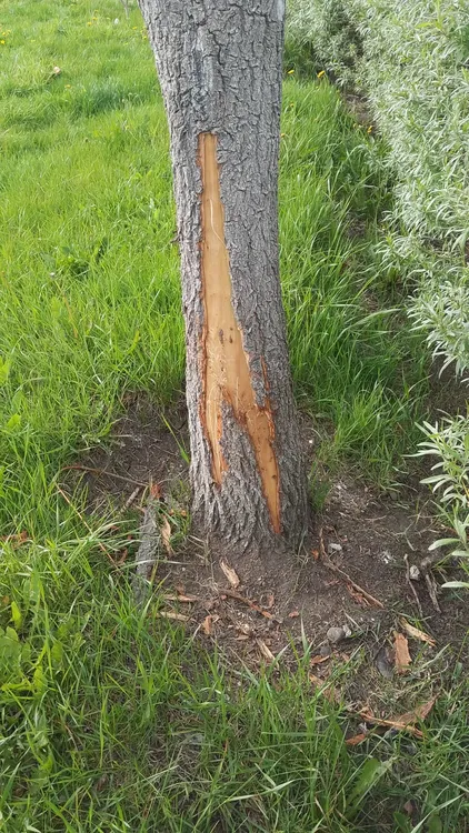 581782892_2357305738045852_6682860720586978819_n