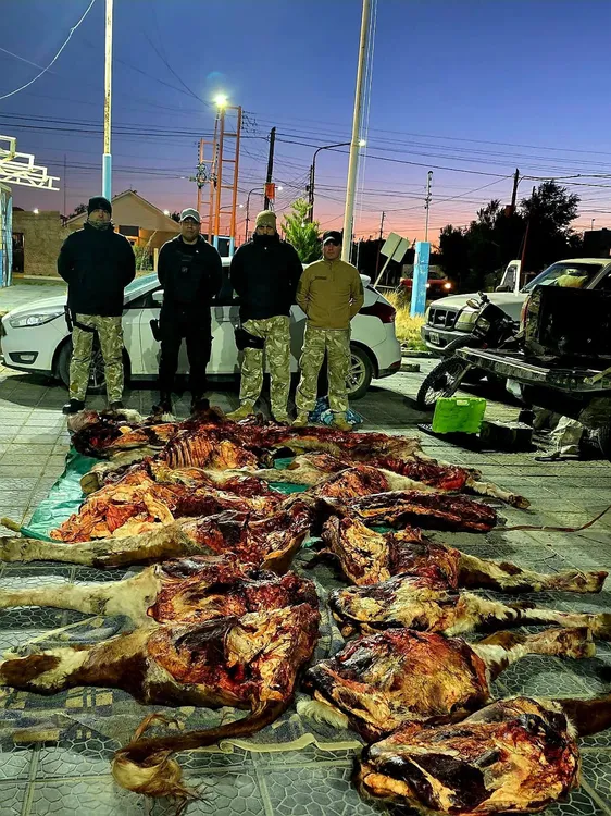 c6096e48-8252-4b5a-ab13-8834b09eef10