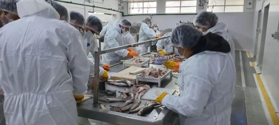 ffce14265301380b8a71dc52e7ca9898_XL